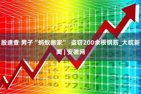 股速查 男子“蚂蚁搬家”  盗窃200余根钢筋_大皖新闻 | 安徽网