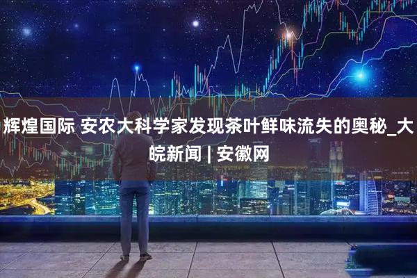 辉煌国际 安农大科学家发现茶叶鲜味流失的奥秘_大皖新闻 | 安徽网