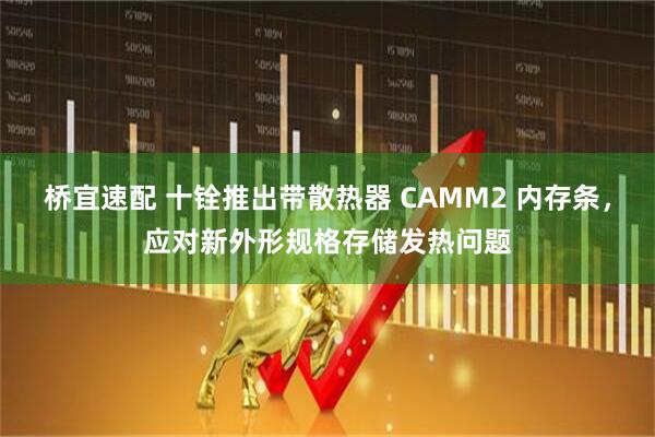 桥宜速配 十铨推出带散热器 CAMM2 内存条，应对新外形规格存储发热问题