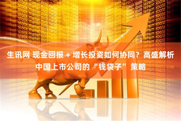 生讯网 现金回报 + 增长投资如何协同？高盛解析中国上市公司的 “钱袋子” 策略