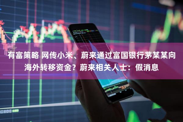 有富策略 网传小米、蔚来通过富国银行茅某某向海外转移资金？蔚来相关人士：假消息