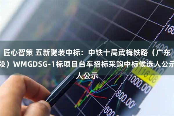 匠心智策 五新隧装中标：中铁十局武梅铁路（广东段）WMGDSG-1标项目台车招标采购中标候选人公示
