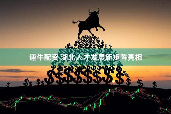 速牛配资 湖北人才发展新矩阵亮相
