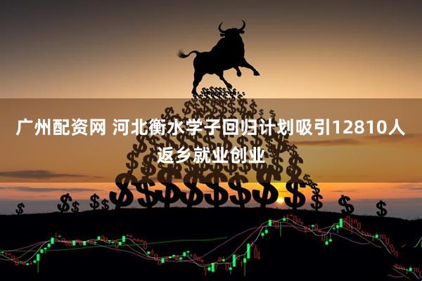广州配资网 河北衡水学子回归计划吸引12810人返乡就业创业